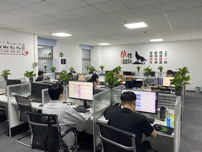 廣州星照信息咨詢 專業信息咨詢服務，賦能企業決策